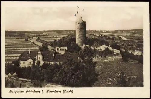 Ansichtskarte Schönburg (Saale) Burgruine Schönburg Naumburg (Saale) 1954