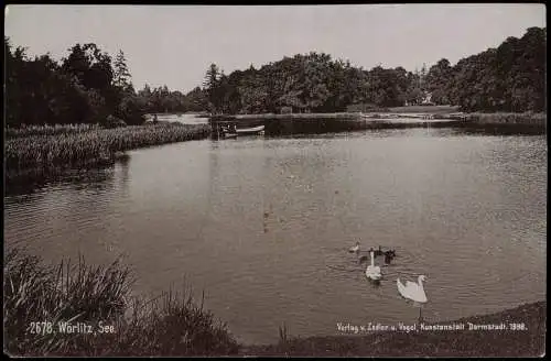 Wörlitz Ortsansicht, Partie am See, Schwäne 1910