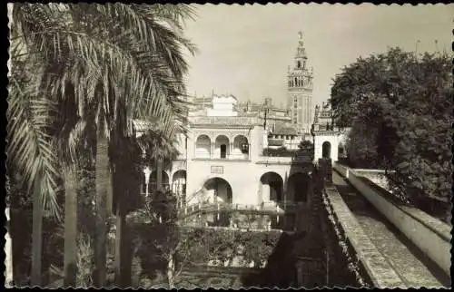 Postales Sevilla La Giralda vista desde los Reales Alcázares 1950