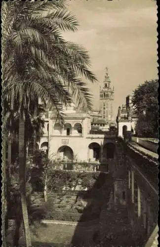 Postales Sevilla La Giralda vista desde los Reales Alcázares 1958