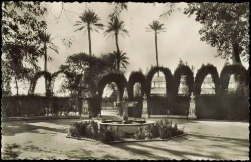 Postales Sevilla Sevilla Jardines de las Delicias 1950