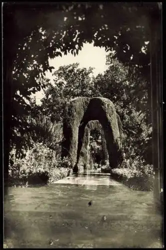 Postales Sevilla Reales Jardines Alcazar Royal Jardins 1960