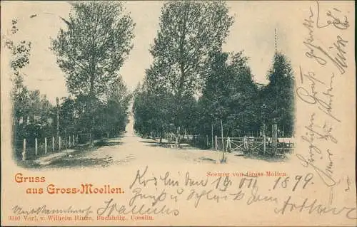 Postcard Großmöllen Mielno Seeweg 1899  bei Köslin Koszalin Pommern