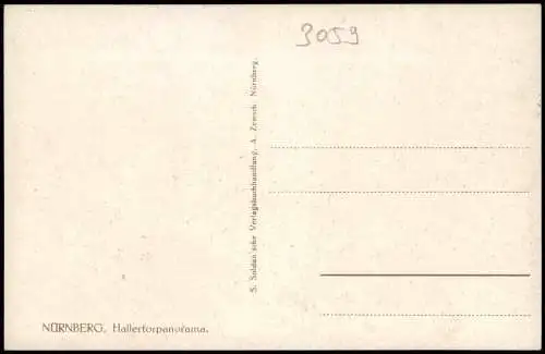 Ansichtskarte Nürnberg Hallertorpanorama 1913