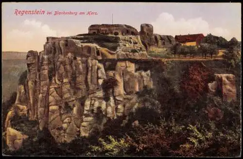 Ansichtskarte Blankenburg (Harz) Regenstein Harz 1914