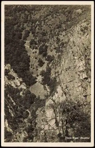 Ansichtskarte Treseburg Bodetal Harz Straße Fotokarte 1930