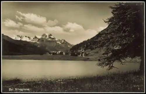 Ansichtskarte Silvaplana Silvaplauna Panorama-Ansicht, Umland-Ansicht 1930