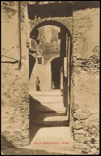 Cartoline Siena Via di Castelvecchio Siena 1910