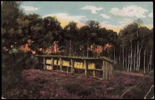 Ansichtskarte .Niedersachsen Lüneburger Heide Bienenstand 1914