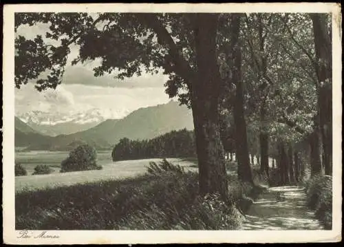 Ansichtskarte Murnau Allee mit Alpenblick 1939