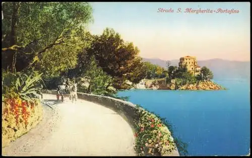 Portofino Strada S. Margherita - Portofino, Strassen Pferde-Kutsche 1910