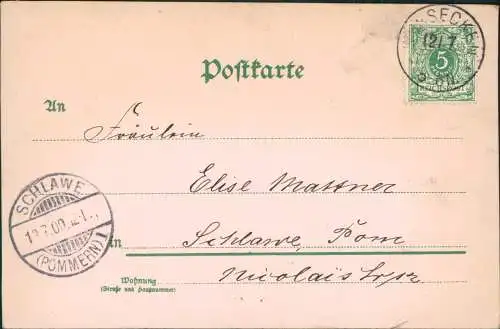 Ansichtskarte  Stimmungsbild Ort am Fluss Blumen 1900 A Stempel Schlawe Pommern