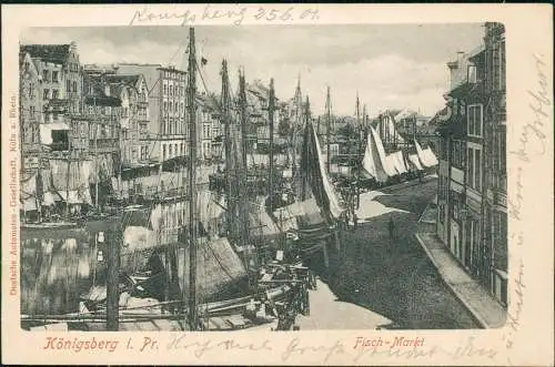 Königsberg (Ostpreußen) Калининград Fischmarkt Straße Segelboote 1901