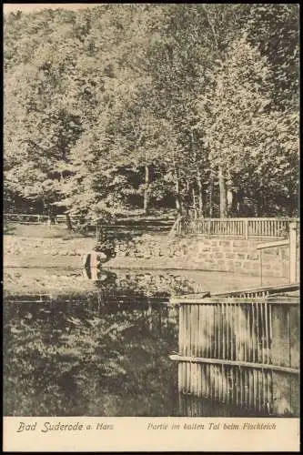 Ansichtskarte Bad Suderode Partie im kalten Tal beim Fischteich 1911