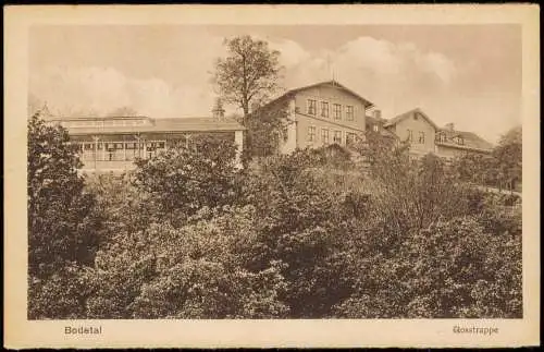 Ansichtskarte Thale (Harz) Berghotel Roßtrappe 1928