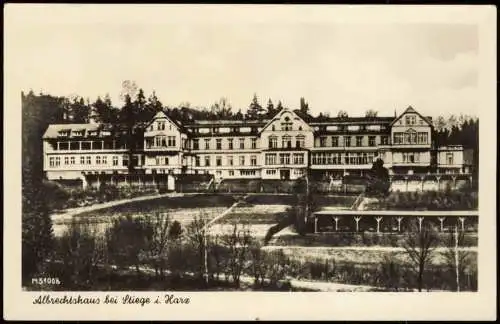 Ansichtskarte Stiege Albrechtshaus - Fotokarte 1955