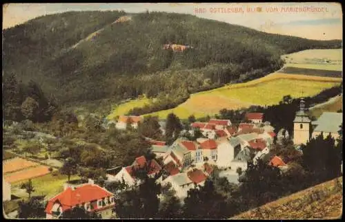 Ansichtskarte Bad Gottleuba-Berggießhübel Blick vom Marienhügel 1919