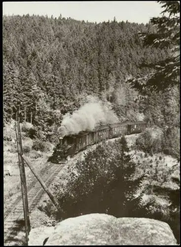 Jöhstadt (Erzgebirge) Schmalspurbahn Wolkenstein-Jöhstadt vor Schlössel  1982