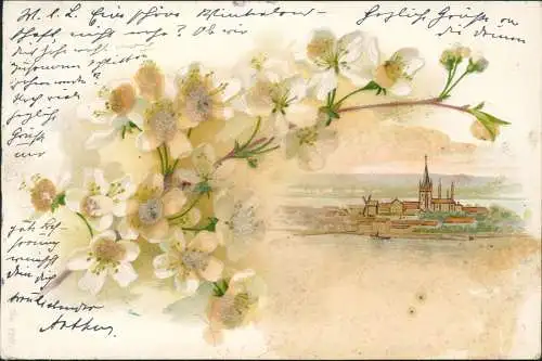 Ansichtskarte  Künstlerkarte Zweig mit Perlenblüte Stadt und Windmühle 1901