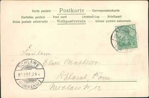 Ansichtskarte  Künstlerkarte Märzenbecher Blumen 1901 Ankunftsstempel Schlawe