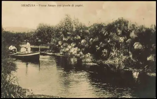 Syrakus (Syracusa) Siracusa Sarausa Fiume Anapo con piante di papiri. 1920