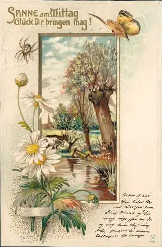 SPINNE am Mittag Glück Dir bringen mag! Künstlerkarte 1901 Goldrand/Prägekarte