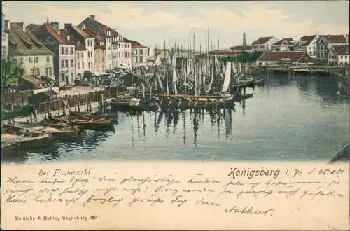 Postcard Königsberg (Ostpreußen) Калининград Fischmarkt 1901