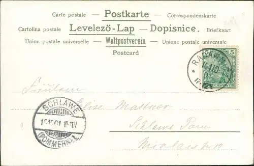 Ansichtskarte  Künstlerkarte Dorfpartie 1901  gel Radawnitz Schlawe