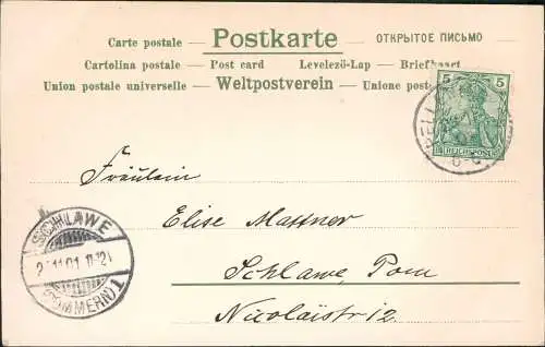 Ansichtskarte  Künstlerkarte gelbe Blumen 1901