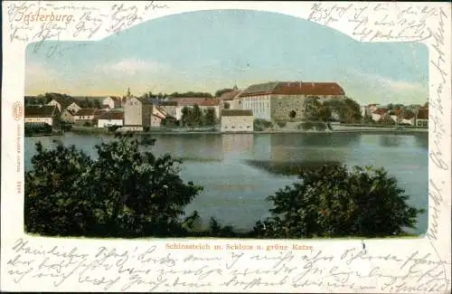 Insterburg Tschernjachowsk (Черняховск) Schloss u. grüne Katze 1901  Ostpreußen