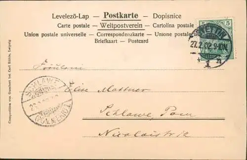 Ansichtskarte  Künstlerkarte Das Edelweiss. III. Bergsteiger Alpen 1902