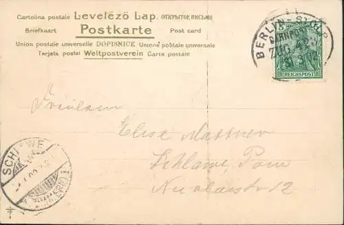 Ansichtskarte  Künstlerkarte Hund Fell 1902 Prägekarte gel. Bahnpoststempel