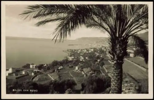 Cartoline San Remo Sanremo Panorama-Blick zum Mittelmeer, Palme Palm 1930