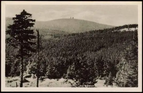 Ansichtskarte Ilsenburg (Harz) Fernblick auf den Brocken 1956