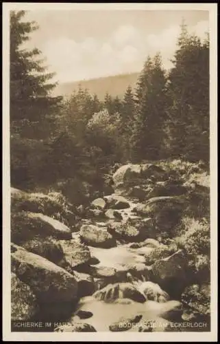 Ansichtskarte Schierke Bodepartie am Eckerloch - Fotokarte 1928