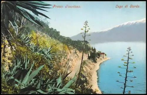 Cartoline Riva del Garda Lago di Garda Gardasee Presso Toscolano 1910