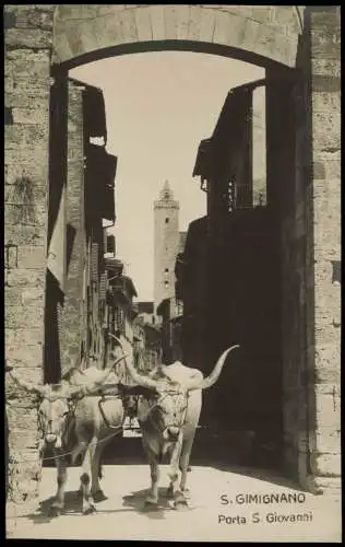 Cartoline San Gimignano Porta S. Giovanni, Ochsen-Gespann 1910