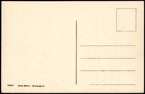 Salsomaggiore Terme Castello di Scipione, Burg Fernansicht, Pferde Fuhrwerk 1910