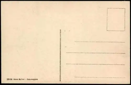 Salsomaggiore Terme Dintorni di Salsomaggiore CASTELLARQUATO 1910