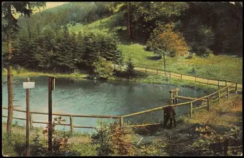 Ansichtskarte Sankt Andreasberg-Braunlage Engelsburger Teich Harz 1908