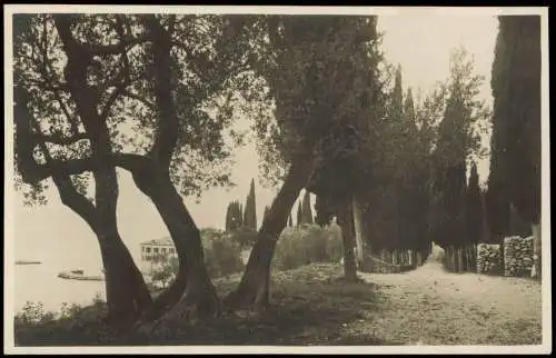 Cartoline Garda San Vigilio viale di cipressi Lago di Garda Gardasee 1924