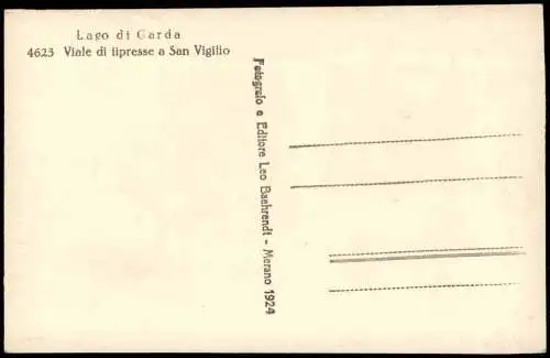 Cartoline Garda Viale di iipresse a San Vigilio Lago di Garda 1924