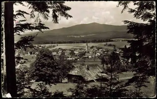 Ansichtskarte Neuschönau Stadtpartie 1962