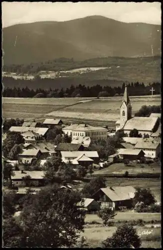 Ansichtskarte Neuschönau Stadtpartie 1954