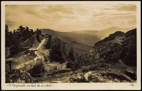 Ansichtskarte Lam (Oberpfalz) Großer Osser Fernsicht gegen Zwergeck 1940