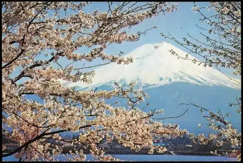 Postcard Japan Fujiyama Japan Baumblüte さくらと富士 1978