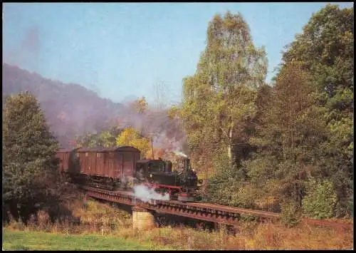 Ansichtskarte Streckewalde Güterzug mit Lokomotive 99 1585