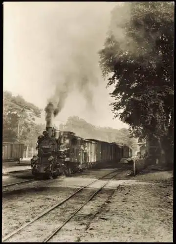 Göhren (Rügen) Schmalspurbahn Putbus- Abfahrbereiter Personenzug, Bahnhof 1984