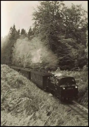 Schmalspurbahn Putbus-Göhren, am Fuß der Granitz Jagdschloss 1989