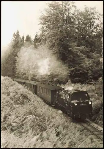 Schmalspurbahn Putbus-Göhren, am Fuß der Granitz Jagdschloss 1985